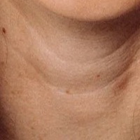 Caitlin Peluffo Caitlin Peluffo